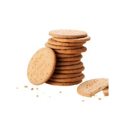 Magz Biscuit