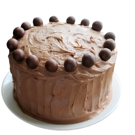 Milky Malt Cake